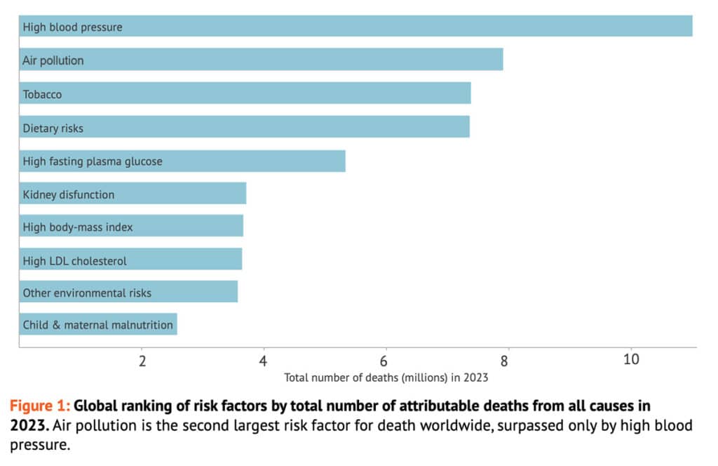 Chart: Deaths by risk factor, 2023