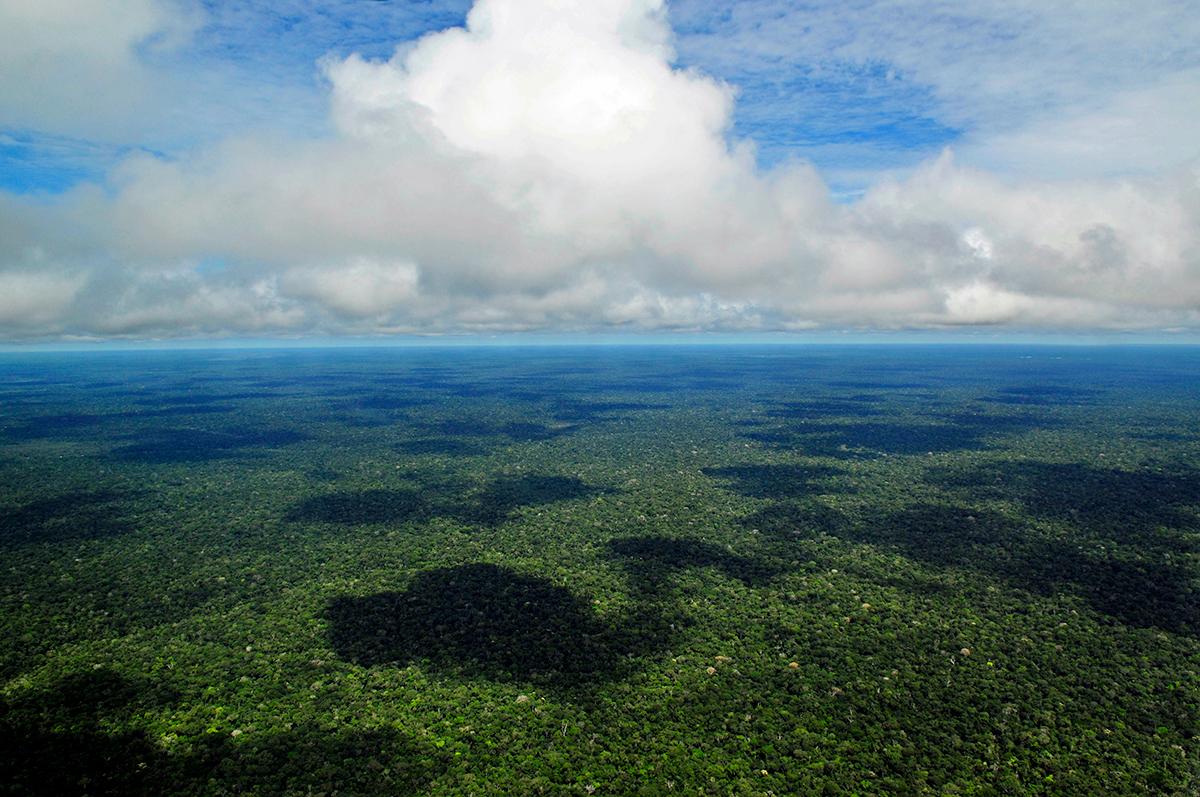 An aerial photo of the Amazon rainforest in Brazil