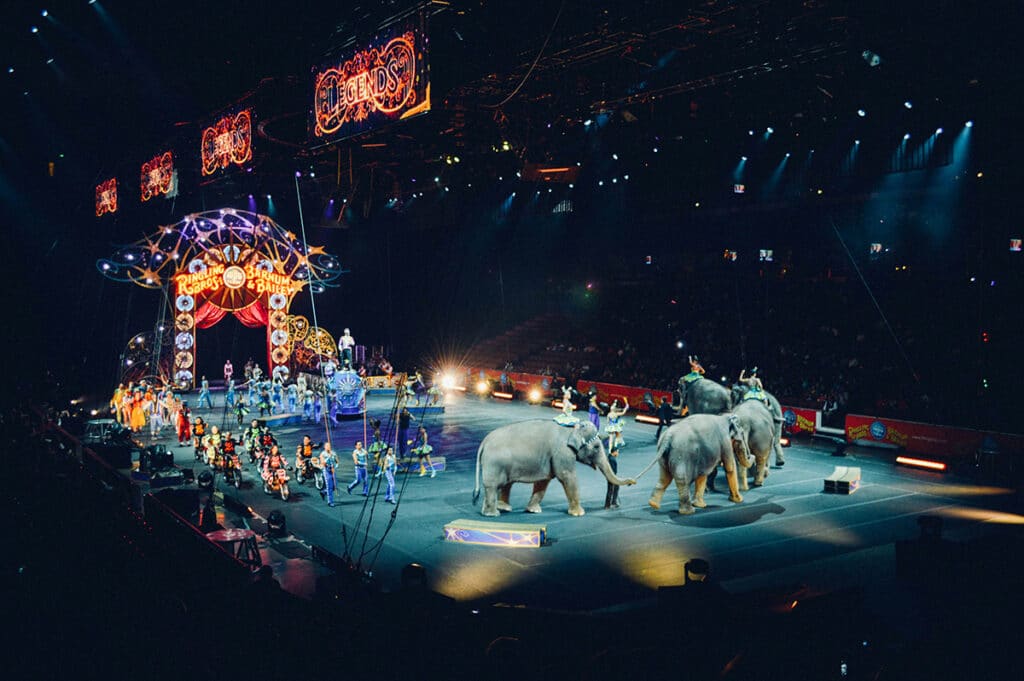 Elephants performing at a circus