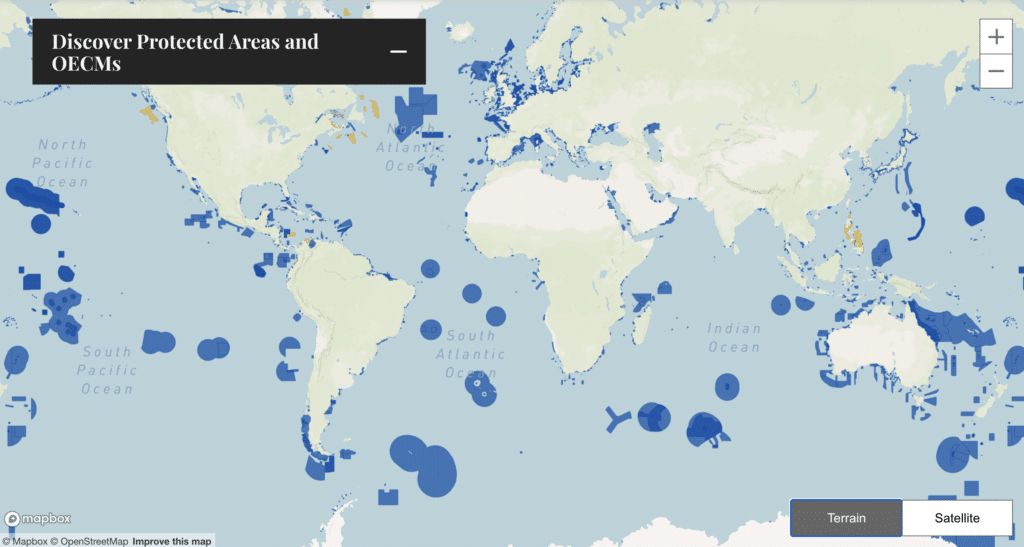 What Could Go Right? - The Race to 2030