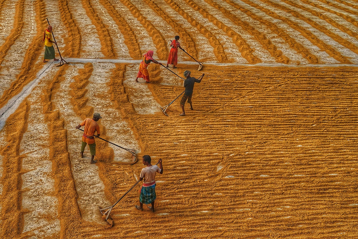 Agricultural workers in India