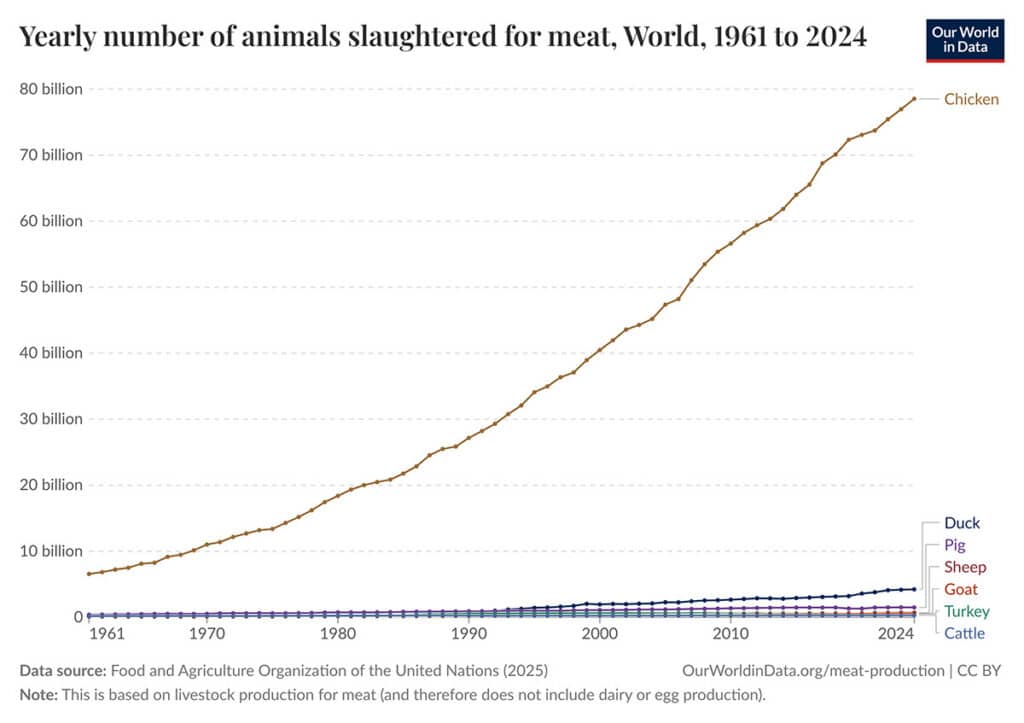 Chart: Animals slaughtered for meat