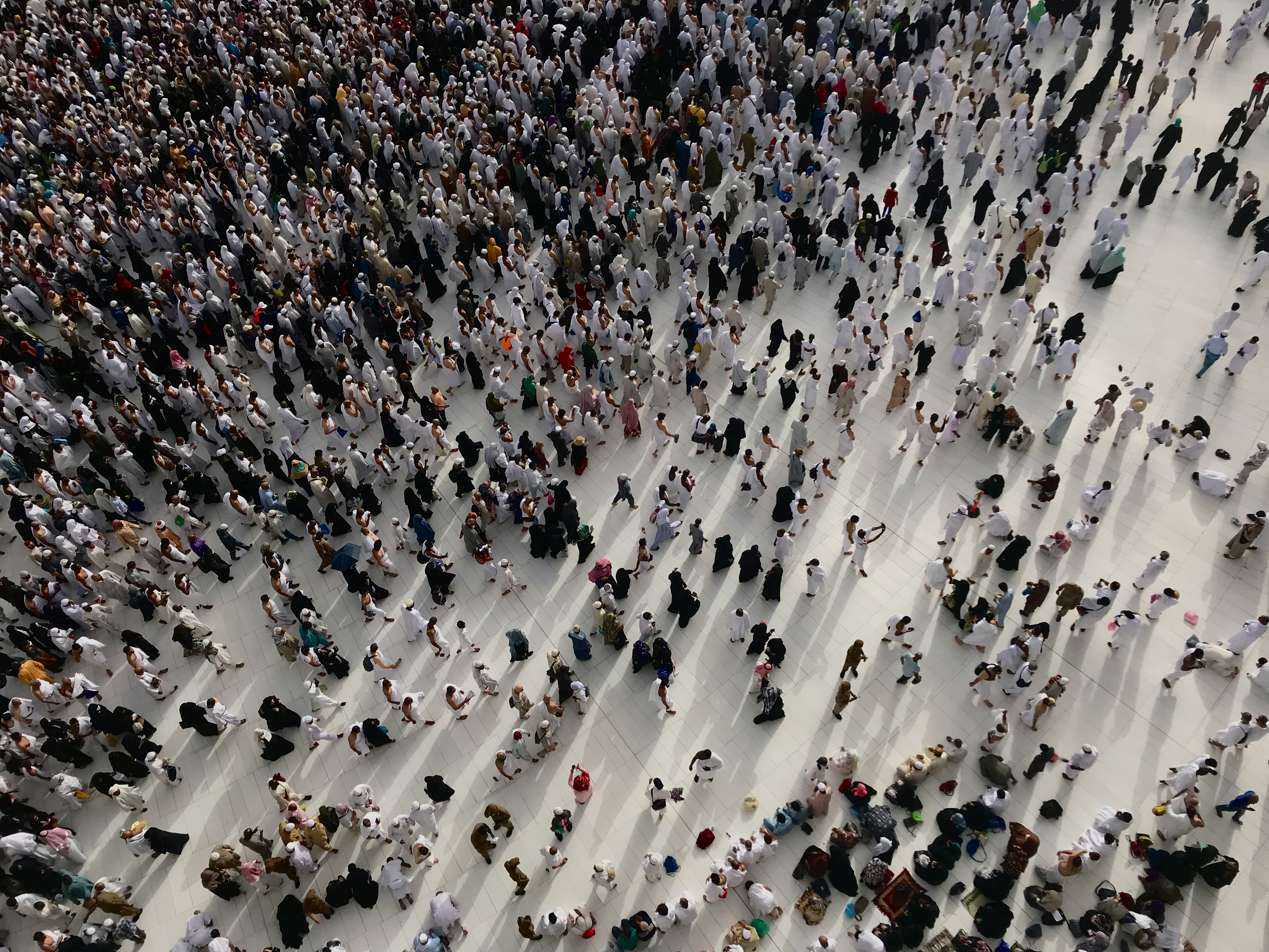 A large group of people walking, seen from above
