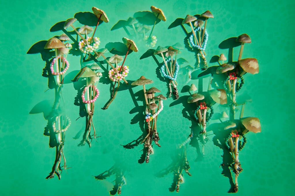 Mushrooms on a green background